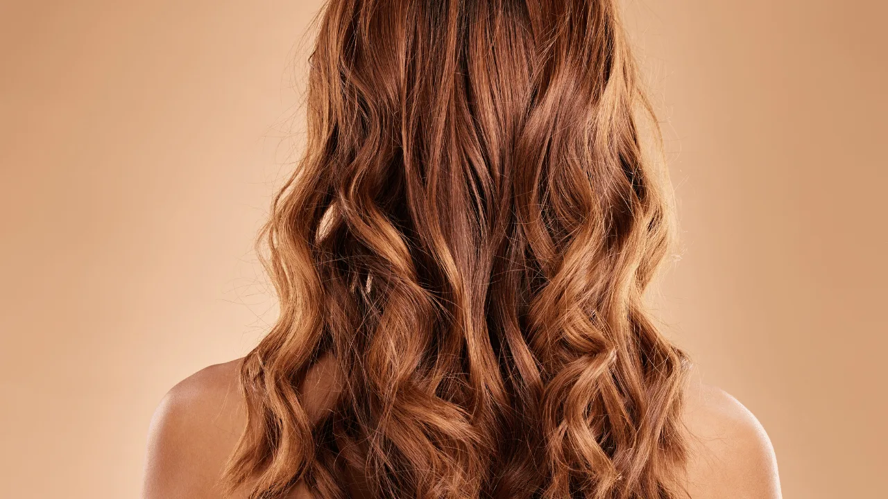 brown hair with highlights